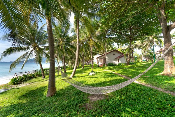 Camping île de ré : détente et nature à la couarde-sur-mer